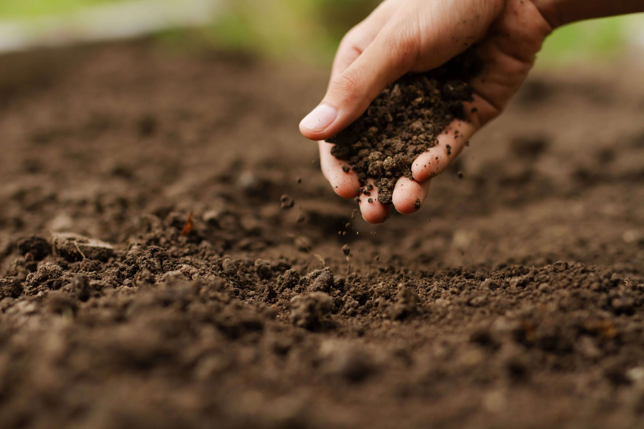 Soil/Garden Amendment